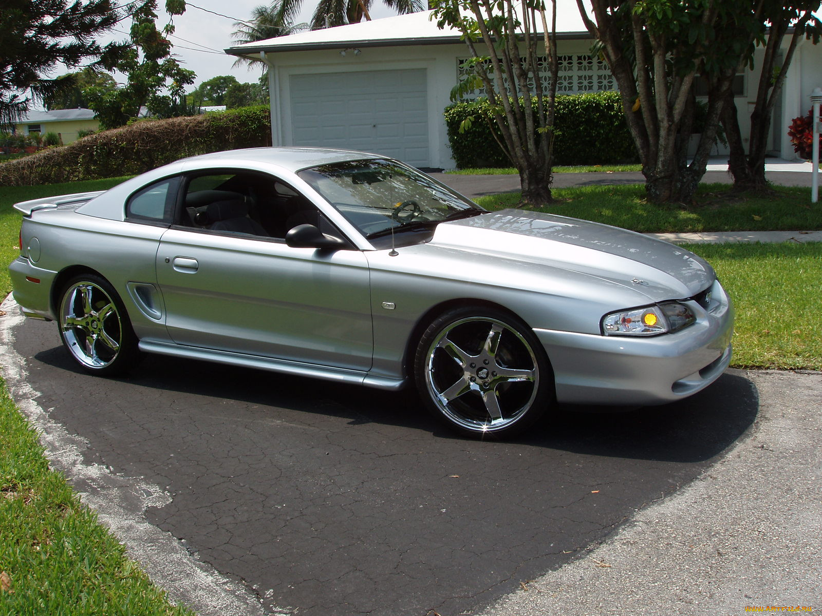 mustang, , ford